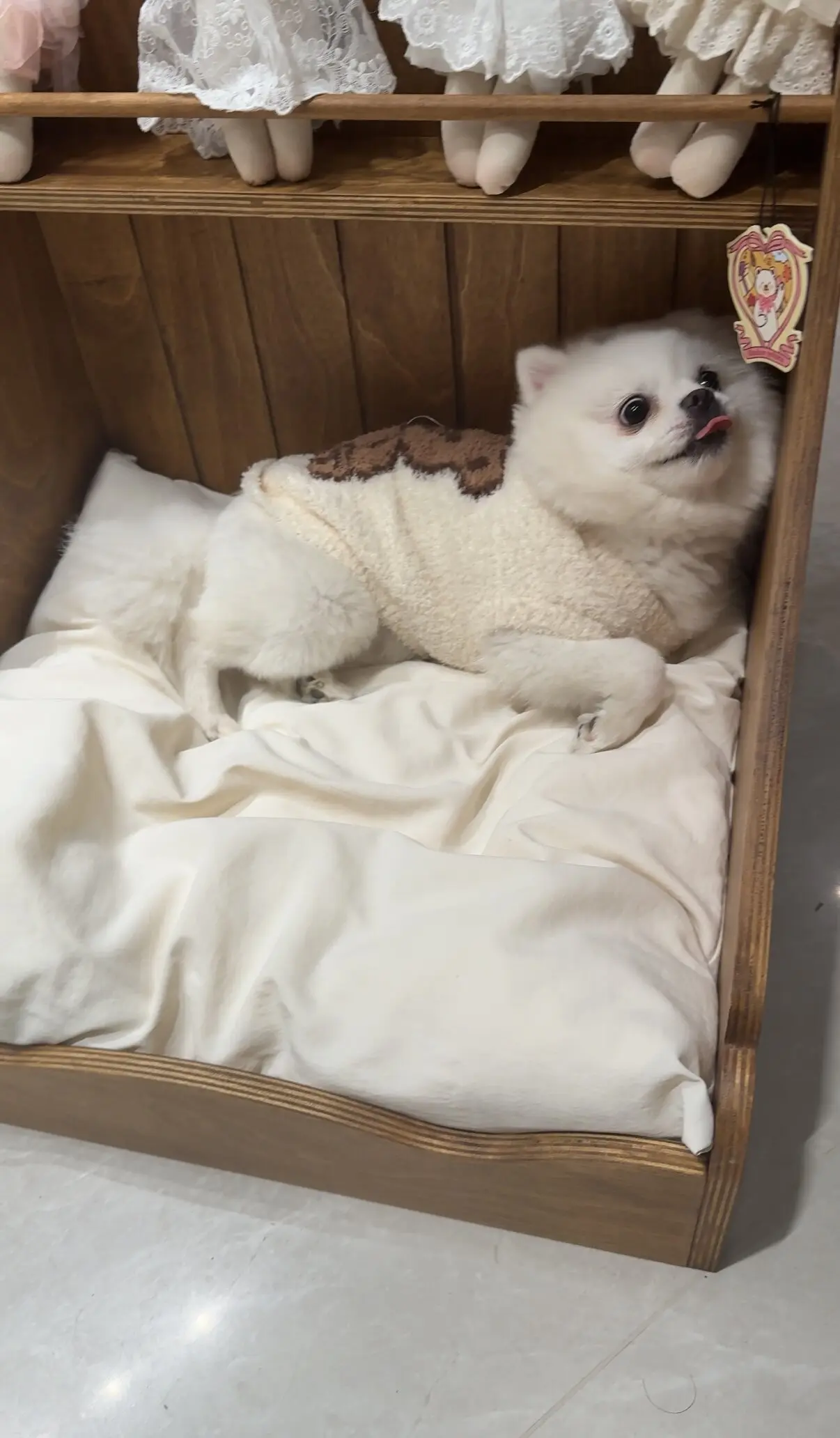 small wooden cat bed with mattress in a customer's home - Nordic Vintage Solid Wood Pet Bed